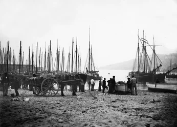 カービス湾に向かって見ているセントアイブスハーバーc.1880-99