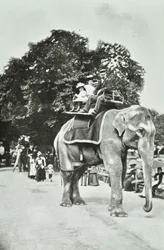 動物園、リージェンツパーク：象の乗り物、ロンドン、1895年頃