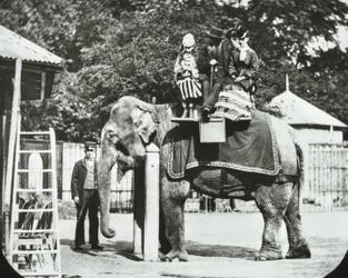 動物園、リージェンツパーク：大人と子供が乗る象、ロンドン動物園、1894