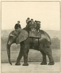 ジャンボに別れを告げる