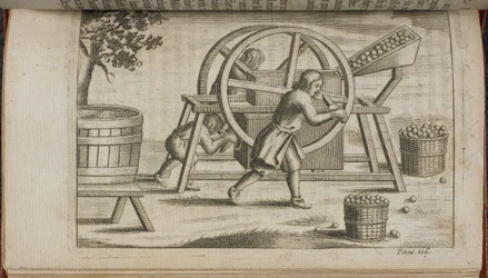果物を圧搾する機械、「Vinetum Britannicum」または「Cyder の論文」のイラスト