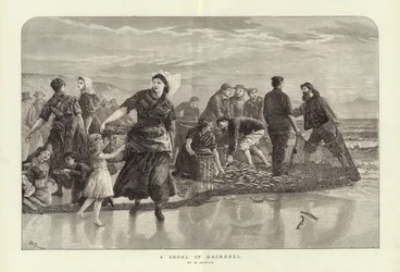 Wダンカンのサバの群れ