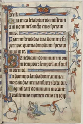 追加。 42130、f.63トイレの女性、「The Luttrell Psalter」のイラスト、c.1321-35（ベラム）