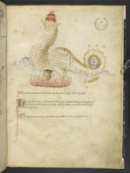 MS 15691 