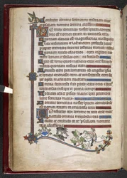MS 24686、f.14v、ハヤブサ狩りのアヒルとポニーに乗った少年、c.1284-1316 (ベラム) を追加