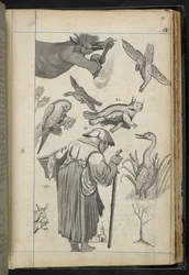 MS 32496 f.49r を追加 「フューストーンのエドワード・フェアファックス氏の家族で演じられた魔術の談話」からのイラスト (彫刻)