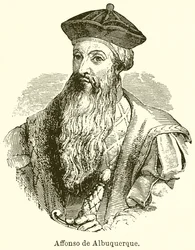 アフォンソデアルバカーキ