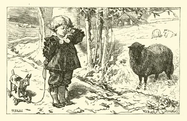 ばあ、ばあ、黒羊