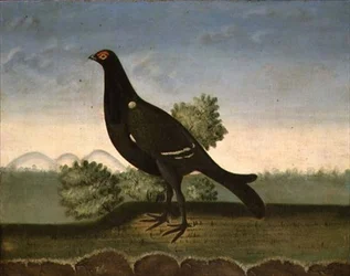 クロライチョウ
