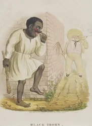 セイヨウスモモ、1836年