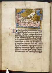 カラドリウス鳥 - 獣医記、王立MS 12 C XIX、f.47v