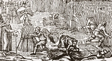 収穫を示す現代の木版画