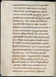 Cotton Vespasian A. XIV、f.126v Alcuin の手紙、793 年のリンディスファーンへのバイキングの攻撃に同情を申し出る (ベラムにインク)