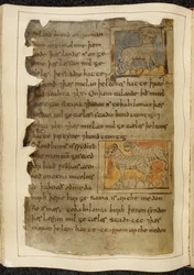 Cotton Vitellius A. XV f.98v、一角の羊、右向き。 左向きの 2 頭の角のある羊、ベオウルフ、「ノウェル写本」（羊皮紙のインク）