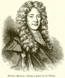 デンジルホリス