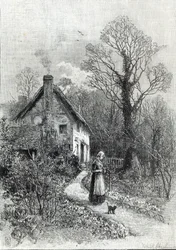 「レジャーアワー」からの最初の花、1888