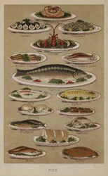 魚