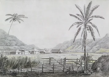 ハルマイスホール、ジャマイカ、1780年頃（紙＆紙に黒鉛）