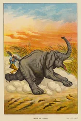 ホールド・オン・タイト (カラー・リソ)