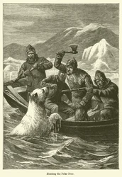 ホッキョクグマの狩猟（版画