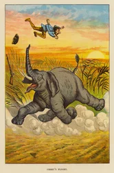 ジミーの飛行 (カラーリソ)