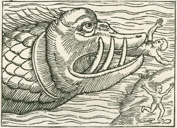 海蛇に食われる人間。オラウス・マグヌスが作成した地図の余白に描かれたイラスト。