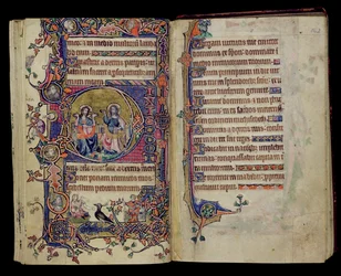 Ms 1-2005、ff.161v-162r：父と息子、Macclesfield Psalter、Sarumの使用、イーストアングリア、c.1330