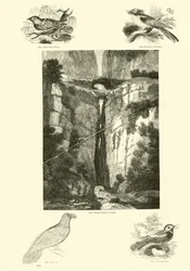 アニメーション自然史博物館のページ