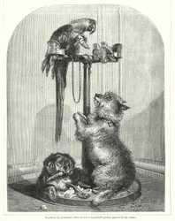 オウムと犬（彫刻