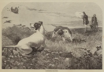 パートリッジ・シューティング（彫刻