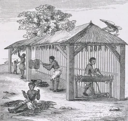 Samuel Hazardによる &39;Santo Domingo過去と現在&39;からのタバコの準備、パブ。 1873