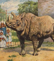 サイ（カラーリトグラフ）