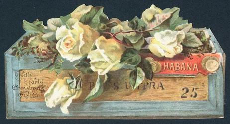 シガーボックス、クリスマスカードのバラ