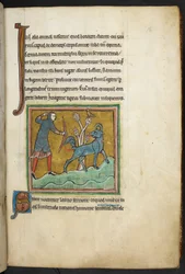 ロイヤル 12 F.XIII、f.16   動物に向かって矢を放つハンター。  Bestiary (ff. 3-141)、Lapidary (ff. 141v-149)  13世紀の第2四半期