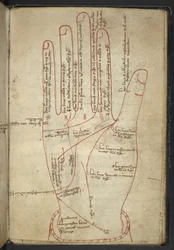 ロイヤル MS 12 C XII f.107r 中世の雑貨で手を読む (ベラムにインク)