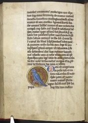 ロイヤル MS 12 C XIX f.50v、ヤツガシラ、「Bestiary」から、1200-10 年頃（ベラム紙にインク、カラー、ゴールド）
