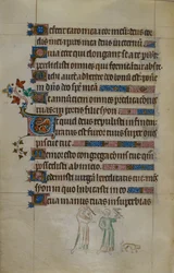 Royal ms 2_B VII f.177v 鷹を運ぶ 2 人の女性とその前に小さな犬がいるページのベース シーン、居住されたイニシャル、「Queen Mary Psalter」のイラスト