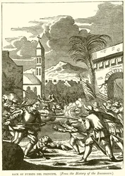 プエルトデルプリンシペの袋