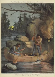 たいまつで槍を投げるサケ