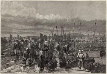 ブルターニュ沿岸のイワシ漁業