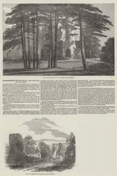Somersetshire Archaeological and Natural History Society (彫刻)
