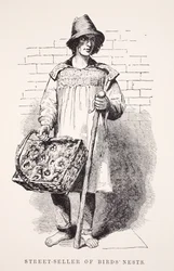 鳥の巣のストリートセラー。ロンドンレイバーとロンドンプアーのイラスト、ヘンリーメイヒューのパブ。 1862