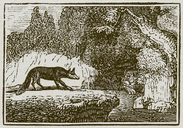 キツネと病気のライオン（エングレーヴィング）