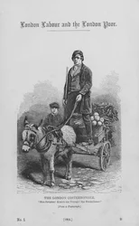 The London Costermonger (彫刻)