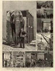 ジャンボの撤去