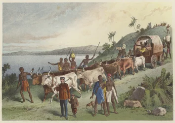 ンガミ湖に到着