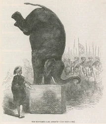 象の偉業、アストリーズ、ロンドン