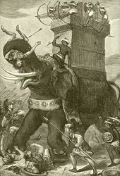 ダリウス王の軍隊の象