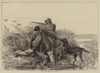 ノーフォークのワイルドダック撮影（彫刻