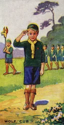 ウルフカブ、1923